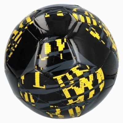 ФУТБОЛНА ТОПКА BVB