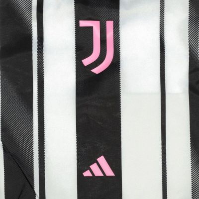 Мешка Juventus (16 L) 2025-2026